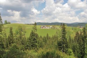 Der Schafferhof vom Wald gegenüber