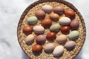 Bunte Eier