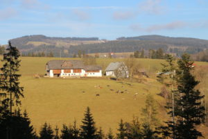 Der Schafferhof vom Wald gegenüber