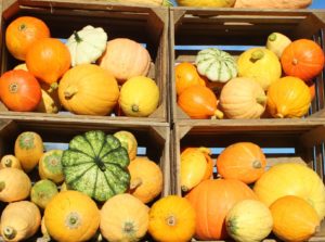 Kürbisse