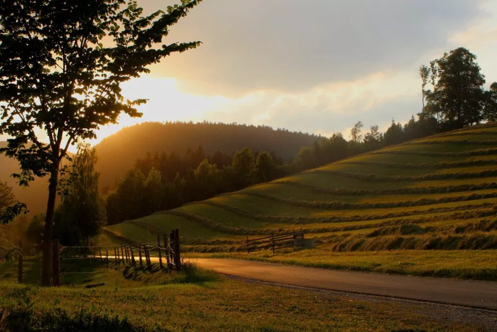 Straße im Sonnenuntergang